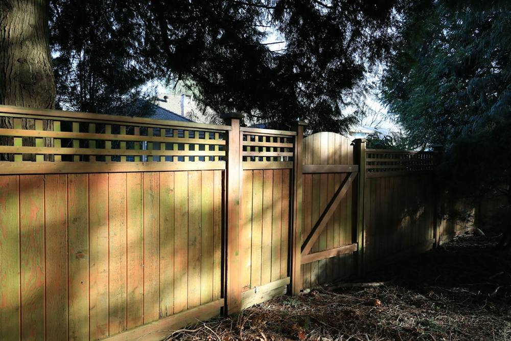 Timber close board fence with matching gate